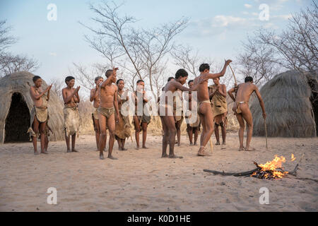 Männer und Frauen tanzen in Buschmann Jäger Lebendige Geschichte Dorf. Grashoek, Otjozondjupa, Namibia, Afrika. Stockfoto