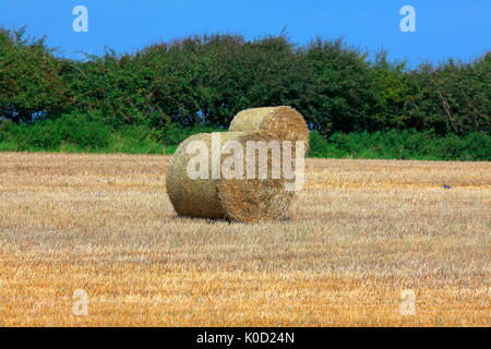 Diese Jahre Ernte von Weizen durch die lokalen Bauern mit einem "Mähdrescher" aus dem Ballen oder Rollen der Stengel sauber aufgerollt geerntet worden ist. Stockfoto