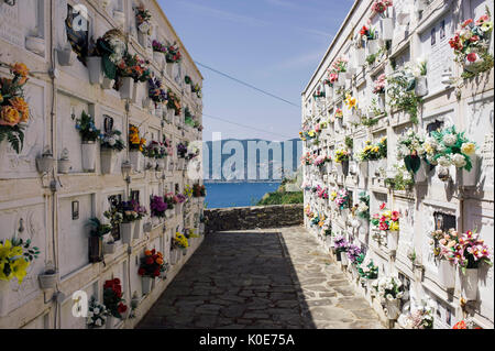 Italien, die fünf Gründe (Cinque Terre), Ligurien: Friedhof von Vernazza. Die "Fünf Gründe" sind ein Nationalpark und einem geschützten Seegebiet, Klassifizierung Stockfoto