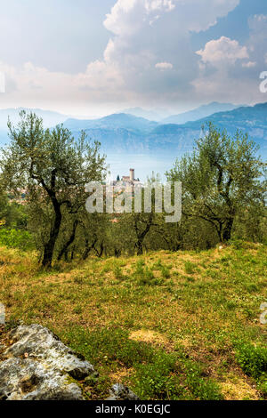 Eine Ansicht von Malcesine und von der Burg aus dem 14. Jahrhundert am Rande des schönen Gardasee in Italien, Europa Stockfoto