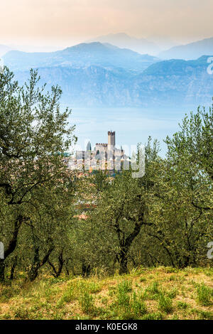 Eine Ansicht von Malcesine und von der Burg aus dem 14. Jahrhundert am Rande des schönen Gardasee in Italien, Europa Stockfoto