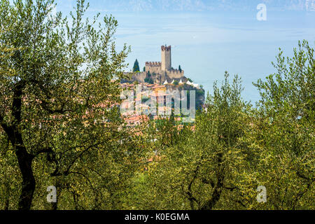 Eine Ansicht von Malcesine und von der Burg aus dem 14. Jahrhundert am Rande des schönen Gardasee in Italien, Europa Stockfoto