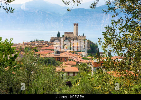 Eine Ansicht von Malcesine und von der Burg aus dem 14. Jahrhundert am Rande des schönen Gardasee in Italien, Europa Stockfoto