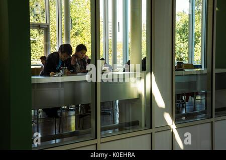 Ein Seitenwinkel-Schuss durch das innere Fenster von Brody Cafe, das Blick auf die Brody Learning Commons, wo eine Studentin konzentriert sich auf ihren Laptop und ein Student überprüft sein Handy unter anderen Studenten an der Johns Hopkins University, Baltimore, Maryland, 10. Mai 2013. Mit Freundlicher Genehmigung Von Eric Chen. Stockfoto