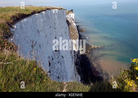 Blick von der Cliff-Tops, entlang der Sächsischen Ufer Weg, zwischen KIngsdown und St. Margret's Bay, Kent Stockfoto