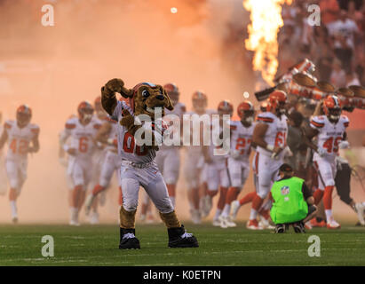 21. August 2017: Cleveland Browns Maskottchen "CHOMPS'' führt während der NFL Football Spiel zwischen den New York Giants und der Cleveland Browns zunächst Energie Stadion in Cleveland, Ohio. JP Waldron/Cal Sport Media Stockfoto