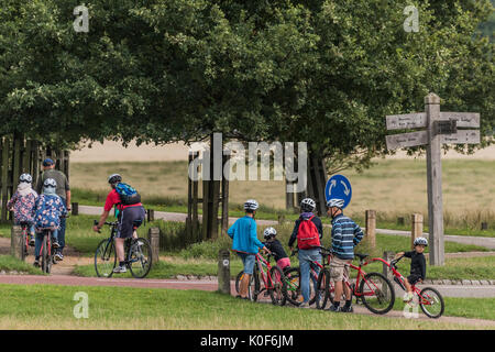 London, Großbritannien. 23 August, 2017. Radfahrer vermischen sich mit Spaziergängern und Autos an einem Sommertag im Richmond Park. London, 23. Aug 2017. Credit: Guy Bell/Alamy leben Nachrichten Stockfoto