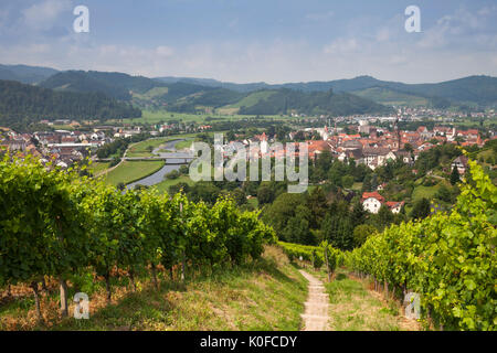 Anzeigen von Gengenbach, Schwarzwald, Baden-Württemberg, Deutschland, Europa Stockfoto