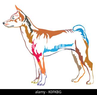 Bunt dekorativ Portrait von ständigen im Profil hund Basenji, Vektor isoliert Abbildung auf weißem Hintergrund Stock Vektor