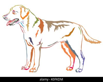 Bunt dekorativ Portrait von ständigen im Profil hund Labrador Retriever, Vektor isoliert Abbildung auf weißem Hintergrund Stock Vektor
