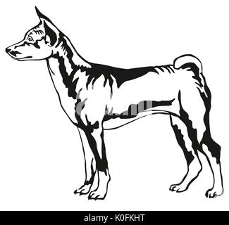 Dekorative Portrait von ständigen im Profil Basenji, Vektor isoliert Abbildung in schwarz auf weißem Hintergrund Stock Vektor