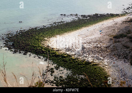 Rock fällt an der Basis der Kreidefelsen auf der Sächsischen Ufer, in der Nähe von St. Margret's Bay, Kent Stockfoto