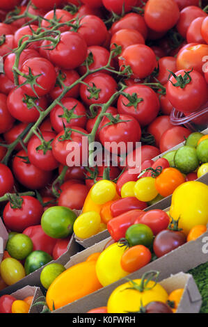 Verschiedene Tomaten gelb rot und grün gestreifte zum Verkauf präsentiert und zum Verkauf auf einem Festival auf der Isle of Wight angezeigt Stockfoto