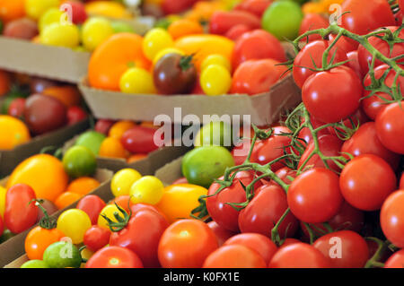 Verschiedene Tomaten gelb rot und grün gestreifte zum Verkauf präsentiert und zum Verkauf auf einem Festival auf der Isle of Wight angezeigt Stockfoto