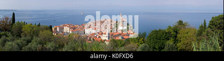 Piran (Italienisch pirano) alte Stadt in Slowenien, Golf von Piran an der Adria. Panoramablick auf die Stadt. natürliche grüne Umgebung, blauer Himmel, rote Stockfoto