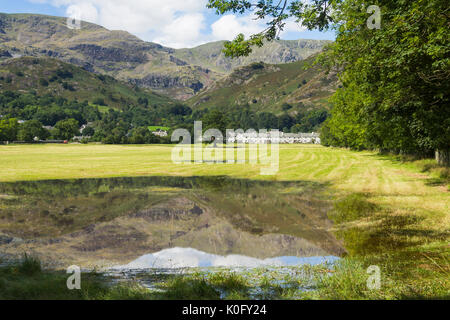 Coniston Dorf inmitten der Bäume unterhalb Coniston Fells spiegeln sich in einer ständigen Regenwasser Pool in Wiesen in der Nähe der Nordküste von Coniston Water Stockfoto