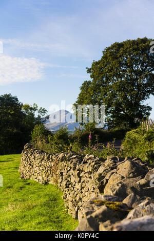 Lake District Trockenmauer in Richtung der fernen Lakeland Fells des alten Mannes von Coniston. Stockfoto