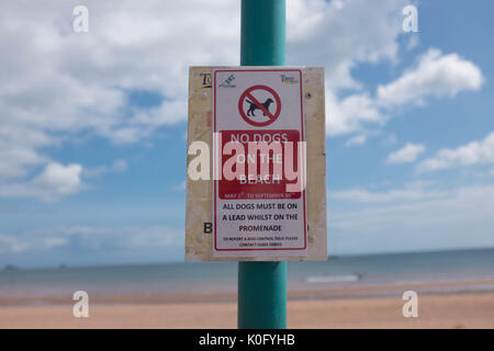 Keine Hunde am Strand anmelden Stockfoto