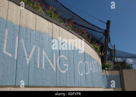 Living Coasts Attraktion, Torquay, Devon Stockfoto