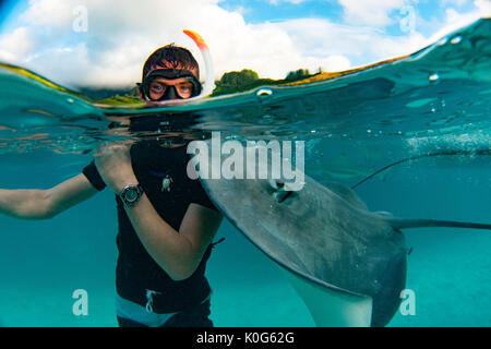 Tahiti Stachelrochen sind neugierig und sanft an einer Futterstelle in Moorea, Französisch Polynesien Stockfoto