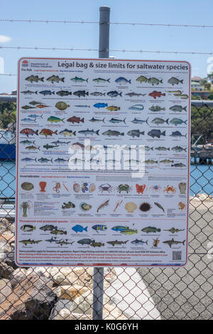 Regierung von New South Wales rechtliche Beutel- und Größenbeschränkungen für Seefische Arten Poster auf Anzeige an Port Eden New South Wales Australien Stockfoto