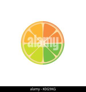 Stücke von Zitrusfrüchten Stock Vektor