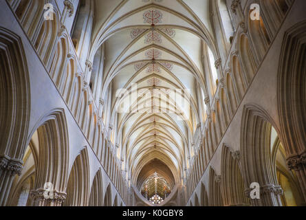 Wells Cathedral Somerset, England Stockfoto