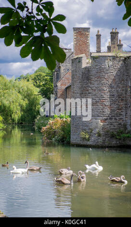 Die Kathedrale der Stadt und Gemeinde in der mendip Bezirk Somerset, England Stockfoto