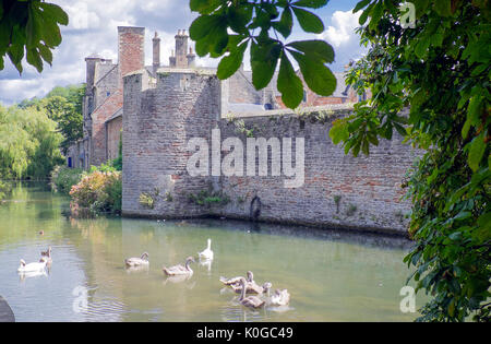 Die Kathedrale der Stadt und Gemeinde in der mendip Bezirk Somerset, England Stockfoto