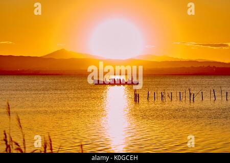 Boot bei Sonnenuntergang in der Mitte der Albufera-see in Valencia Stockfoto