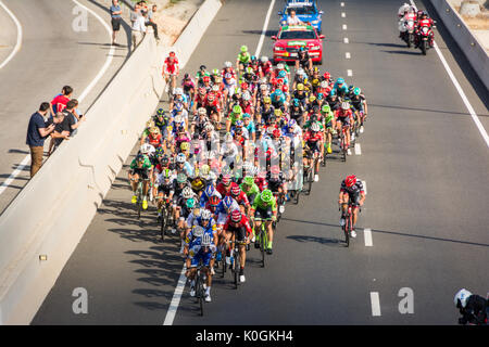 Tarragona, Spanien - 22. August 2017: Radfahren Gruppe auf der Wettbewerb La Vuelta Ciclista von Spanien Stockfoto