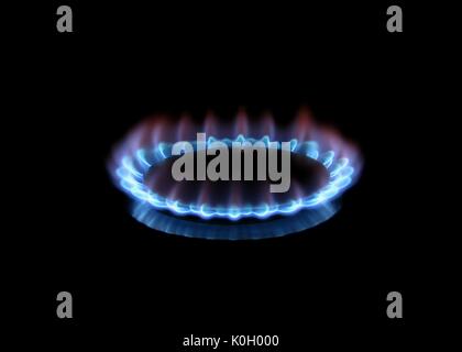 Blaue Flamme aus natürlichen brennenden Gasherd vor einem schwarzen Hintergrund schließen isoliert Foto. Seitenansicht mit einigen Überlegungen über die Metallplatte unten brennen Stockfoto