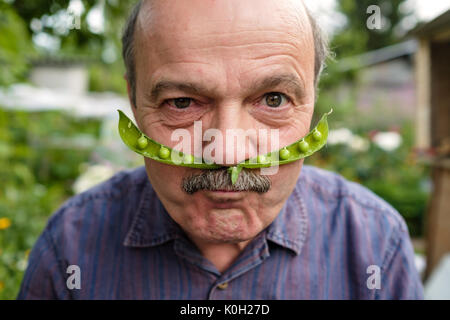 Ein älterer Mann ist Durchgeklickt. Er hält eine Erbse pod in der Nähe von seinem Gesicht wie ein Schnurrbart Stockfoto