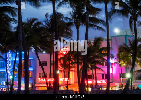 Miami Beach, Florida, Ocean Drive, Lummus Park, Hotels, Neonschilder, Palmen, Abenddämmerung, Nachtabend, Colony Boulevard Starlite, Hotel, FL170430094 Stockfoto