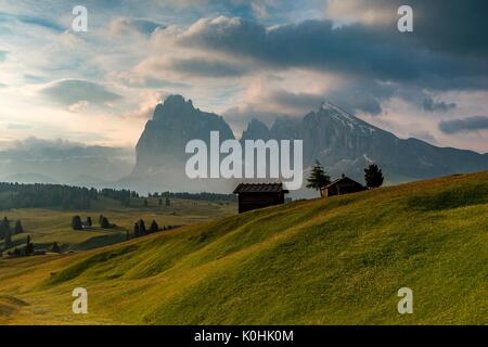 Seiser Alm, Dolomiten, Südtirol, Italien. Am frühen Morgen auf der Seiser Alm. Im Hintergrund der Gipfel des Langkofel/Lang Stockfoto