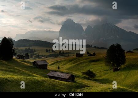 Seiser Alm, Dolomiten, Südtirol, Italien. Am frühen Morgen auf der Seiser Alm. Im Hintergrund der Gipfel der Sella, Sassolun Stockfoto