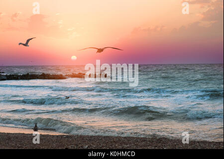 Möwen fliegen über dem Meer Stockfoto