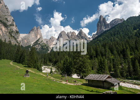 Reifen/Tiers, Dolomiten, Südtirol, Italien. In der Ciamin Tal Stockfoto