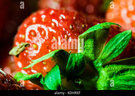 Detail der Rote Erdbeere. Flache Tiefenschärfe, Makro Fotografie. Stockfoto