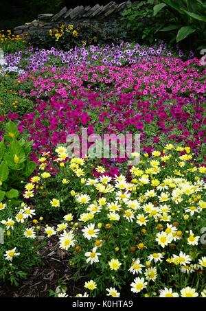 Blumenarrangement, Rutgers Gärten, New Brunswick, New Jersey Stockfoto