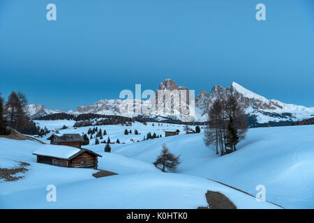 Seiser Alm, Dolomiten, Südtirol, Italien. Blaue Stunde auf der Seiser Alm mit den Gipfeln des Langkofel und Sas Stockfoto