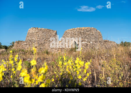 Casarano, Provinz Lecce, Salento, Apulien, Italien. Traditionelle apulische trockene Hütte aus Stein Stockfoto