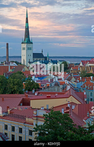 Blick über Tallinns Altstadt von Toompea Stockfoto