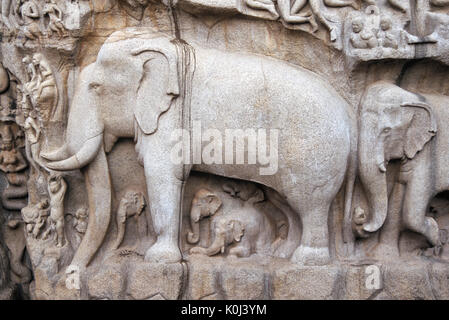 Relief auf der Vorderseite der Arjunas Buße, Mamallapuram (Mahabalipuram), Tamil Nadu, Indien Stockfoto