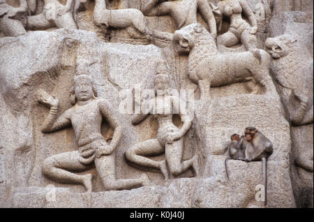 Relief auf der Vorderseite der Arjunas Buße (mit Wohnsitz Affen), Mamallapuram (Mahabalipuram), Tamil Nadu, Indien Stockfoto