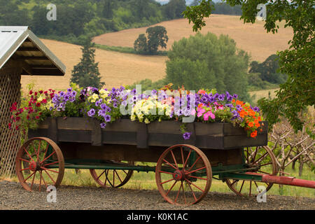 Blume wagen, Perryhill Farm, Polk County, Oregon Stockfoto