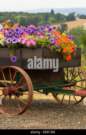 Blume wagen, Perryhill Farm, Polk County, Oregon Stockfoto