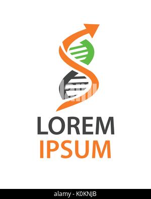 Dna-Forschung mit einem Pfeil, Logo Design, DNA-Struktur, auf weißem Hintergrund. Stock Vektor