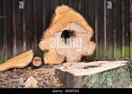 Baum Cookie mit Herz rot Stockfoto