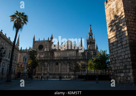 Spanien: die Kathedrale der Heiligen Maria des sehen, die Kathedrale von Sevilla, der ehemaligen Moschee als katholische Kirche im Jahr 1507 geweiht, und der Glockenturm Giralda Stockfoto